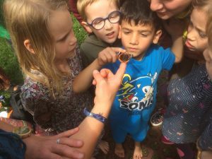 Gruppe von Kindern beobachtet fasziniert einen Schmetterling, der auf einer ausgestreckten Hand sitzt – achtsame Tierbegegnung im Freien