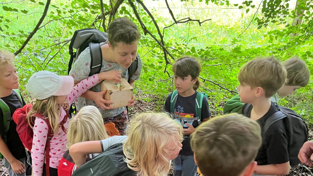 Gruppe von Kindern steht im Wald um eine erwachsene Begleitperson, die eine kleine Holzkiste mit Naturmaterialien zeigt – forschendes Lernen in der Natur