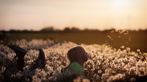 Mädchen liegt in Wiese und pustet eine Pusteblume - Symbol für Innehalten und Dankbarkeit