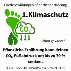 Friedenswirkungen veganer Ernährung 1-Klimaschutz