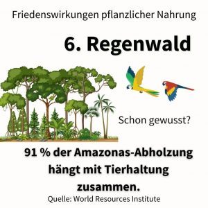 91 % der Amazonas-Abholzung hängt mit Tierhaltung zusammen.