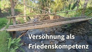 Vers&ouml;hnung als Friedenskompetenz