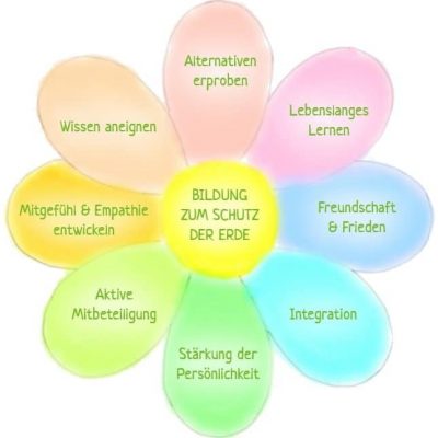 Bl&uuml;te-Qualit&auml;tskriterien-Bildung-zum-Schutz-der-Erde