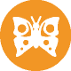icons-orange-wissensvermittlung